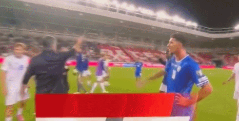 的球迷致谢 的球迷致谢