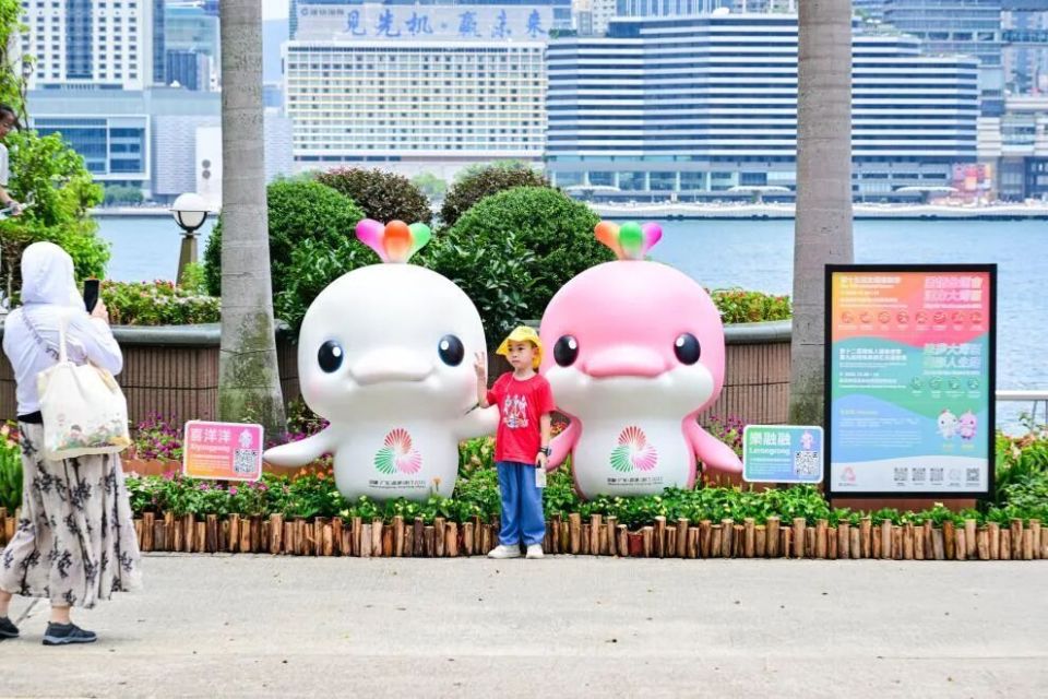 为香港的体, 大家参加或